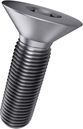 Stainless steel Countersunk Socket Head Screw