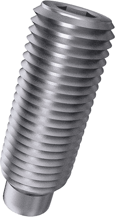 Stainless steel Hex Bolts