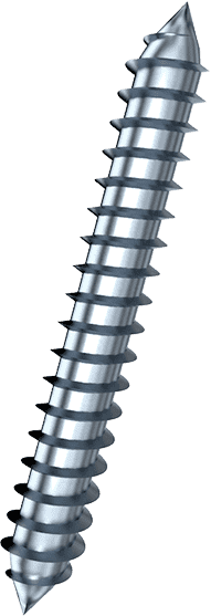 Dowel screws