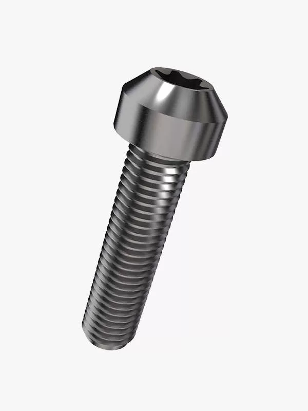 Cylindrical Head Torx Drive Titanium Bolts Cylindrical Head Torx Drive Titanium Bolts