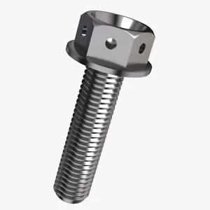 Race Spec Hex Head Titanium Bolts