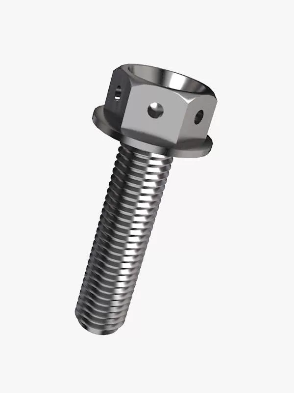 Race Spec Hex Head Titanium Bolts Race Spec Hex Head Titanium Bolts